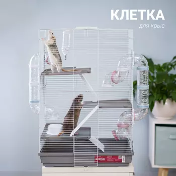 Petmax Клетка для крыс 50х30,2х70см серая