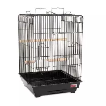 Petmax Клетка для птиц Elsa, 47х47x67 см