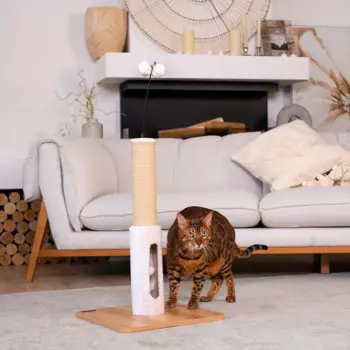 Petmax Когтеточка-столбик для кошек 60 см