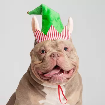 Petmax Колпак безразмерный для собак Эльф, зеленый