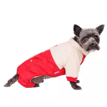 Petmax Комбинезон для собак 2XL бежевый (унисекс)