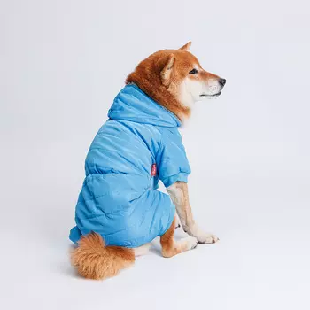 Petmax Комбинезон для собак, 2XL, голубой