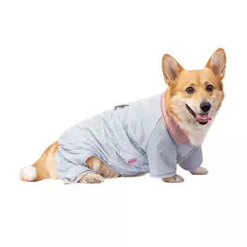 Petmax Комбинезон для собак, 2XL, голубой (девочка)