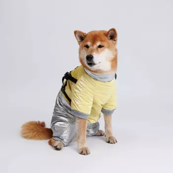 Petmax Комбинезон для собак, 2XL, серебряно-желтый (девочка)