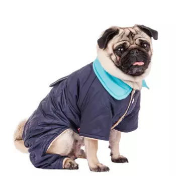 Petmax Комбинезон для собак 2XL синий (унисекс)