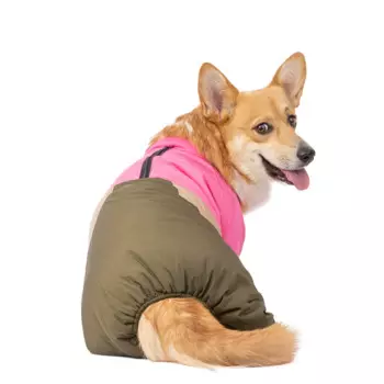 Petmax Комбинезон для собак, 2XL, зеленый (девочка)