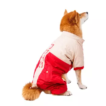 Petmax Комбинезон для собак, 3XL, бежевый (унисекс)