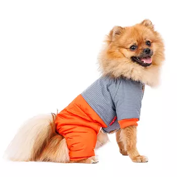 Petmax Комбинезон для собак, 3XL, голубой (унисекс)