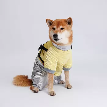 Petmax Комбинезон для собак, 3XL, серебряно-желтый (девочка)