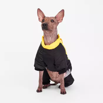 Petmax Комбинезон для собак, 3XL, желто-черный