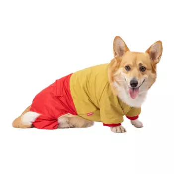 Petmax Комбинезон для собак, 3XL, желтый (унисекс)