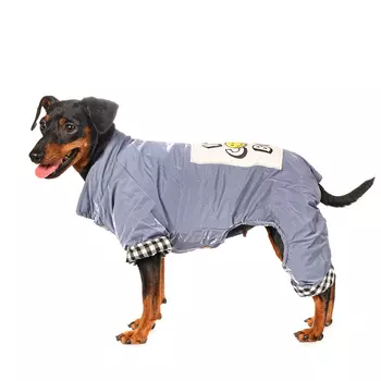 Petmax Комбинезон для собак I m cool boy, 2XL, серый (унисекс)