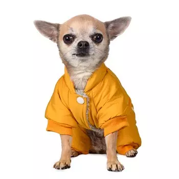 Petmax Комбинезон для собак King M желтый (унисекс)