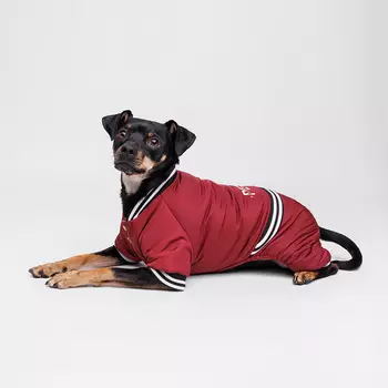 Petmax Комбинезон для собак Комикс, XL, кофейный