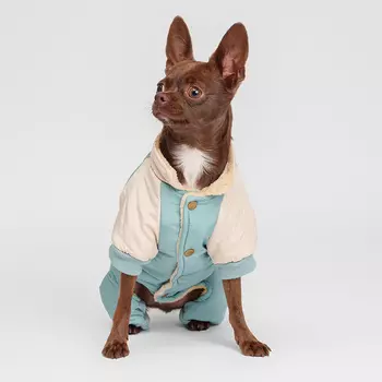 Petmax Комбинезон для собак, L, голубой (девочка)