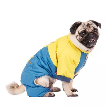 Petmax Комбинезон для собак, L, голубой (унисекс)