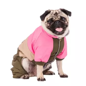 Petmax Комбинезон для собак L зеленый (девочка)