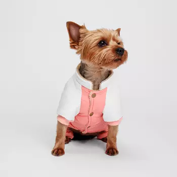 Petmax Комбинезон для собак, M, розово-серый (девочка)