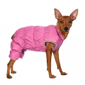 Petmax Комбинезон для собак розовый на молнии девочка M