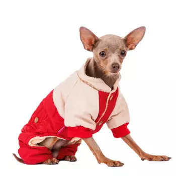 Petmax Комбинезон для собак, S, бежевый (унисекс)