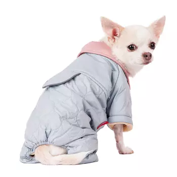 Petmax Комбинезон для собак S голубой (девочка)