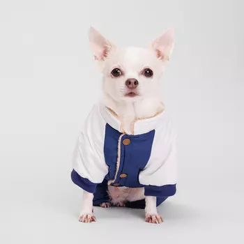 Petmax Комбинезон для собак, S, сине-серый