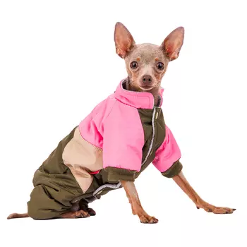 Petmax Комбинезон для собак S зеленый (девочка)