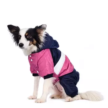 Petmax Комбинезон для собак сине-розовый с капюшоном девочка 3 XL