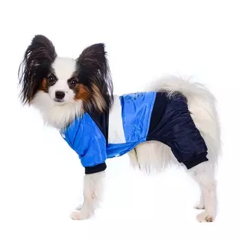 Petmax Комбинезон для собак синий с полосатым капюшоном 3 XL