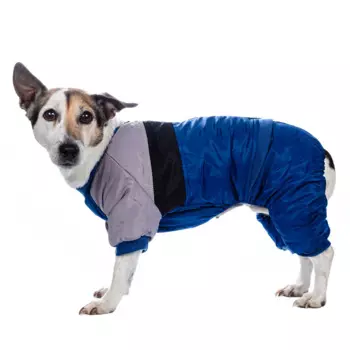 Petmax Комбинезон для собак синий с замком 2 XL