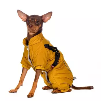 Petmax Комбинезон для собак со шлейкой желтый девочка M