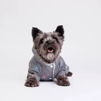 Petmax Комбинезон для собак со снежинками, M, серый (девочка)