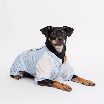 Petmax Комбинезон для собак Ушки, 2XL, голубой