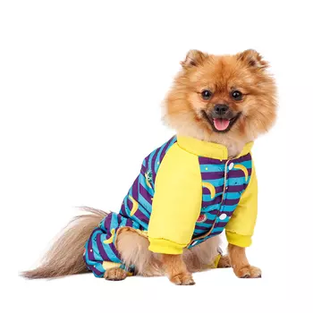 Petmax Комбинезон в полоску с фруктами для собак, L, голубой (унисекс)