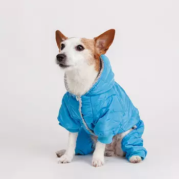 Petmax Комбинезон для собак, XL, голубой