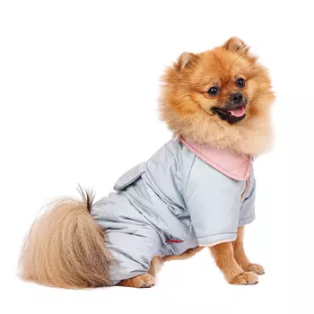 Petmax Комбинезон для собак XL голубой (девочка)