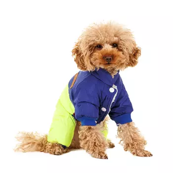 Petmax Комбинезон для собак, XL, зеленый (унисекс)