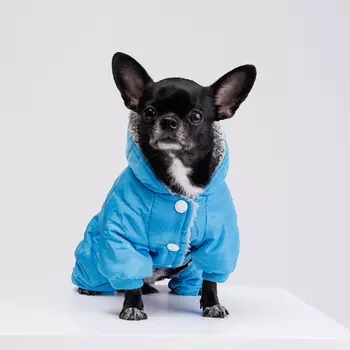 Petmax Комбинезон для собак, XS, голубой