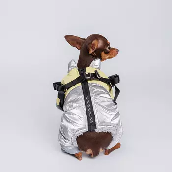 Petmax Комбинезон для собак, XS, серебряно-желтый (девочка)