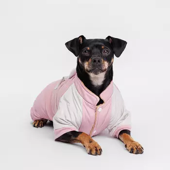 Petmax Комбинезон для собак Зайка, 2XL, розовый (девочка)