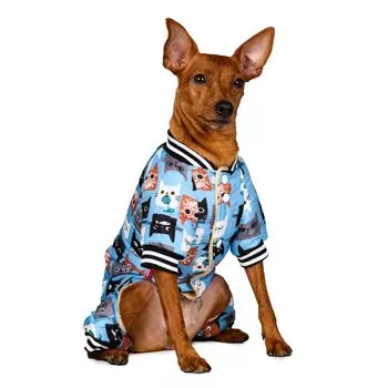 Petmax Комбинезон голубой с котами девочка M