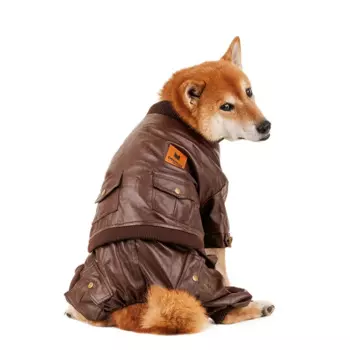 Petmax Комбинезон из кожзама для собак 2XL коричневый (унисекс)