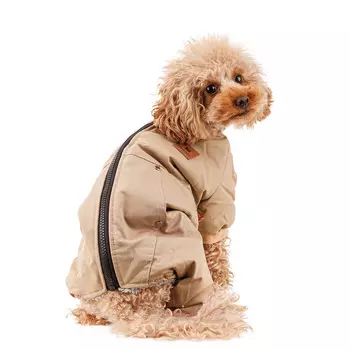 Petmax Комбинезон на молнии бежевый L (мальчик)