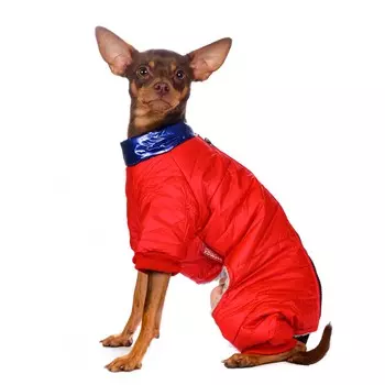 Petmax Комбинезон на молнии для собак, M, красный (унисекс)