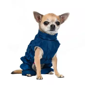 Petmax Комбинезон на молнии для собак S синий (унисекс)