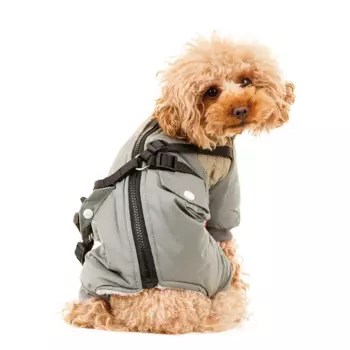 Petmax Комбинезон на молнии со шлейкой для собак XS зеленый (унисекс)