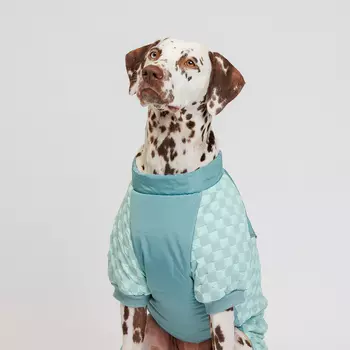 Petmax Комбинезон на замке для собак, 3XL, голубой (девочка)