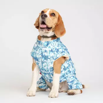 Petmax Комбинезон на замке для собак, 5XL, голубо-белый (девочка)