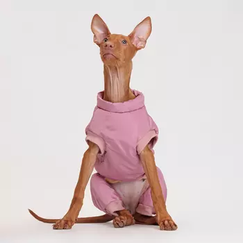 Petmax Комбинезон на замке для собак, L, розовый (девочка)