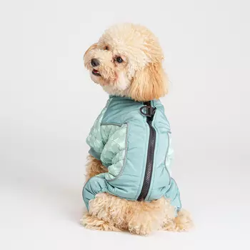 Petmax Комбинезон на замке для собак, L, голубой (девочка)